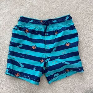 Toddler Boys Carters Swim Shorts 3T